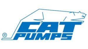 5-cat.jpg